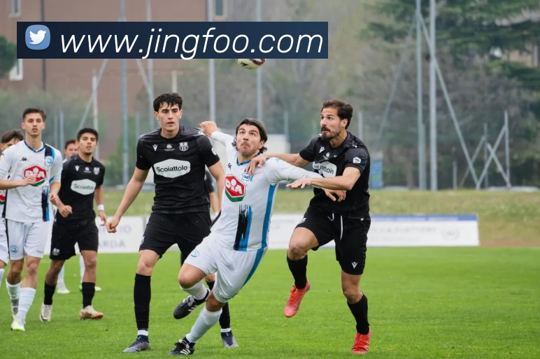 多媒体互动体验